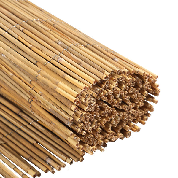 BMOT Schilfrohrmatte Sichtschutz Naturzaun