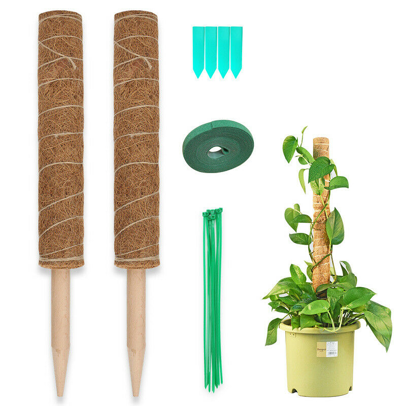 BMOT Pflanzstab Kokos Monstera 2er Set